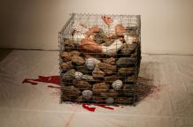 boxes series, state of aggregation, cyclic, Su En Butoh Cie, Haglund Skola, Köttinsopektionen, Uppsala