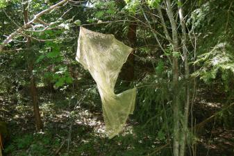 lost civilisation, landart, power of nature, surching for traces