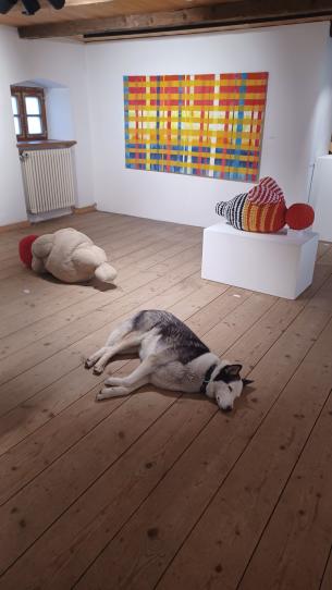 Living textures, Janura 2026, Neue Galerie Landshut, 2026